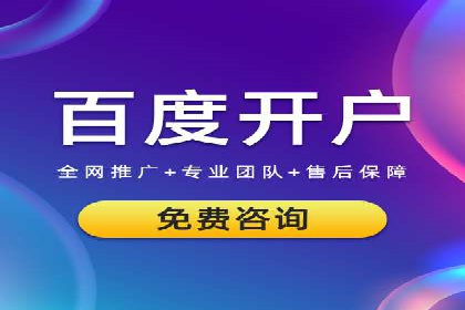 SEM推广案例：打造高效广告投放策略
